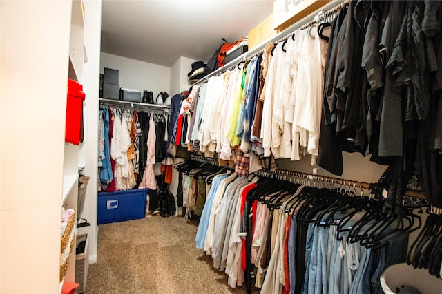 22118 Great Royal Ln, Houston, TX 77073 - walk in closet with carpet flooring