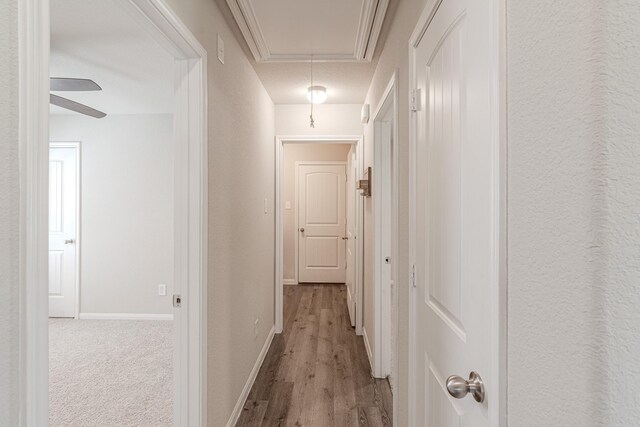 4922 Blue Jacaranda Way, Spring, TX 77373 - photo 27