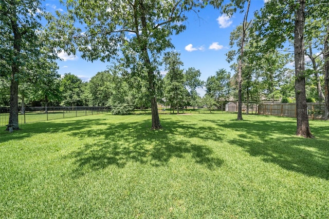 18882 Mystic Pt, Montgomery, TX 77356 - view of fenced backyard