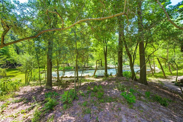 1121 Lashbrook Dr, Houston, TX 77077 - view of nature