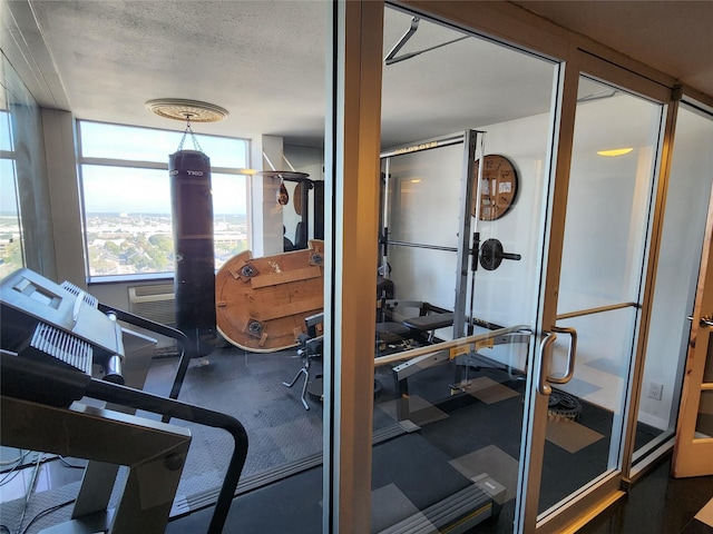 7510 Hornwood Dr Unit 1606, Houston, TX 77036 - exercise room with a textured ceiling