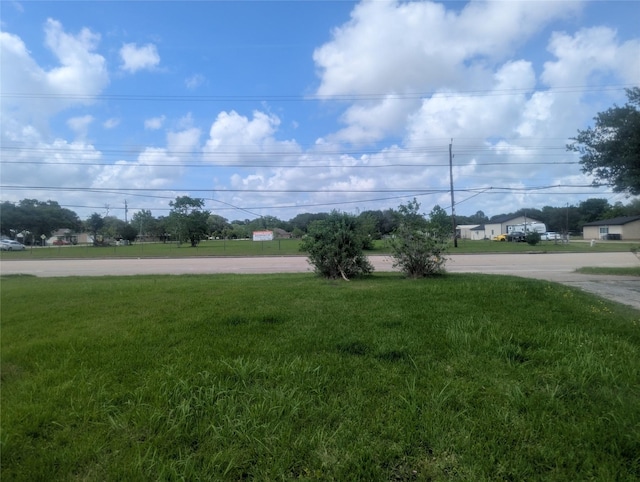 11029 Fm 1764, Santa Fe, TX 77510 - view of green lawn