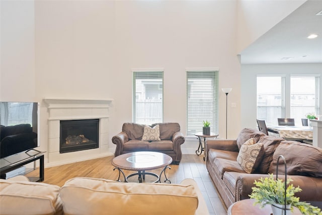 21018 Cypress Creek View Ct, Humble, TX 77338 - living area featuring wood finished floors, a glass covered fireplace, and a towering ceiling