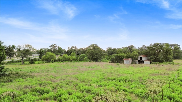 13210 Fm 2432nd Rd, Willis, TX 77378