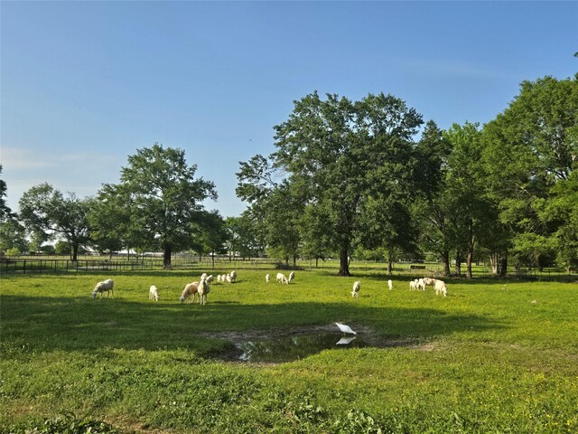 2790 Derby Ln, Madisonville, TX 77864 - photo 36