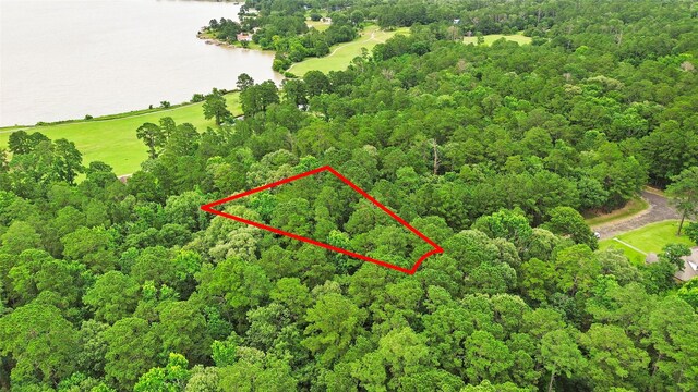24408 Oakmont Ct, Huntsville, TX 77320 - photo 1