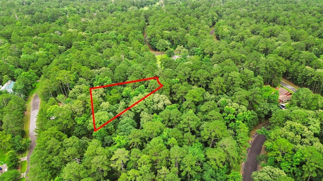 24408 Oakmont Ct, Huntsville, TX 77320 - photo 2