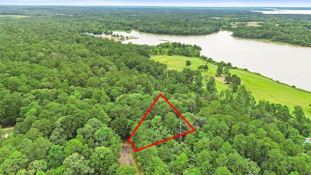 24408 Oakmont Ct, Huntsville, TX 77320 - photo 3