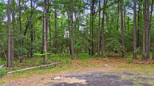 24408 Oakmont Ct, Huntsville, TX 77320 - photo 8