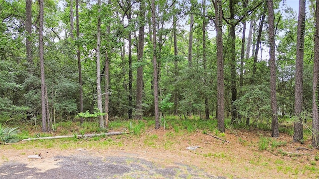 24408 Oakmont Ct, Huntsville, TX 77320 - photo 7