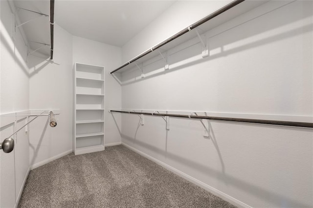 1202 Oak Barrel Run, Richmond, TX 77406 - spacious closet featuring carpet flooring