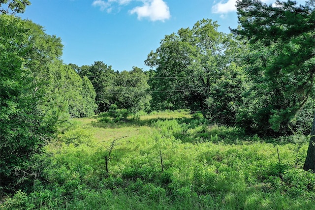 373 Johnson Rd, Huntsville, TX 77320 - photo 2