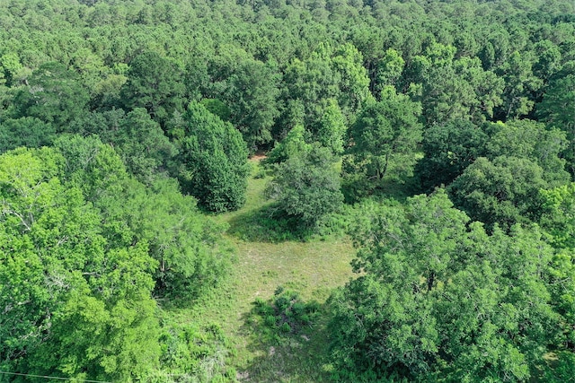 373 Johnson Rd, Huntsville, TX 77320 - photo 3