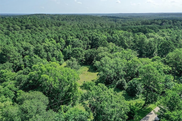 373 Johnson Rd, Huntsville, TX 77320 - photo 6