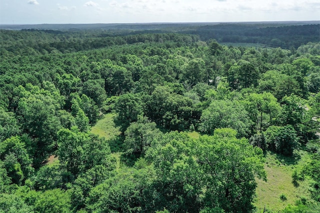 373 Johnson Rd, Huntsville, TX 77320 - photo 7