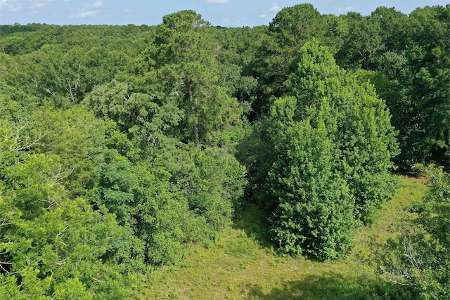 373 Johnson Rd, Huntsville, TX 77320 - photo 10