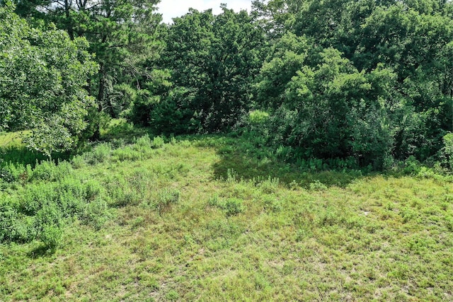 373 Johnson Rd, Huntsville, TX 77320 - photo 11