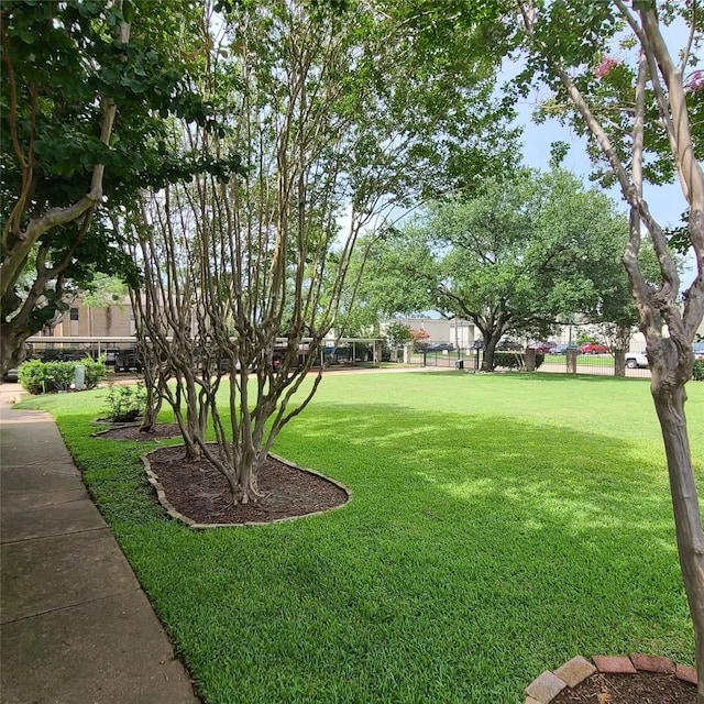 2011 Spenwick Dr Unit 220, Houston, TX 77055 - view of yard