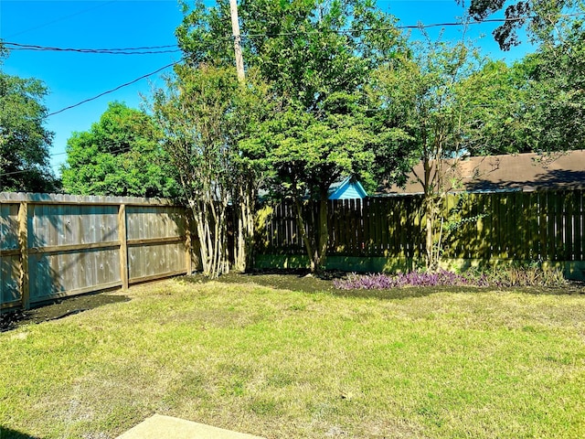 8826 Tanager St, Houston, TX 77036 - view of yard