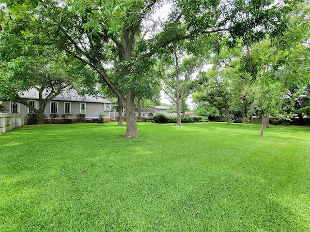 1406 Key St, Brenham, TX 77833 - view of green lawn