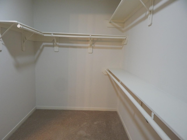 16861 Greenhouse St, Conroe, TX 77385 - walk in closet with carpet floors