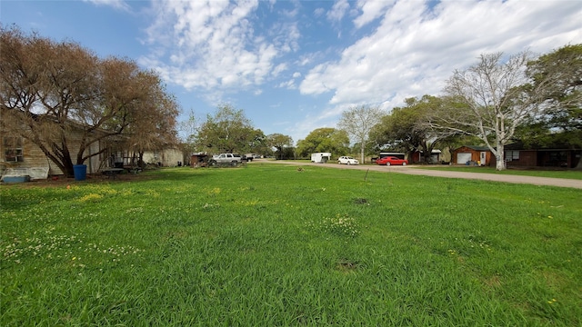 108 Country Oaks St, Brazoria, TX 77422 - photo 3