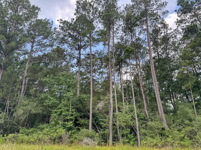 000 Lonestar Rd, Huntsville, TX 77340 - photo 12