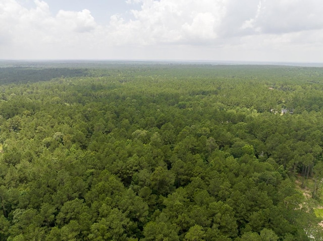 000 Lonestar Rd, Huntsville, TX 77340 - photo 15