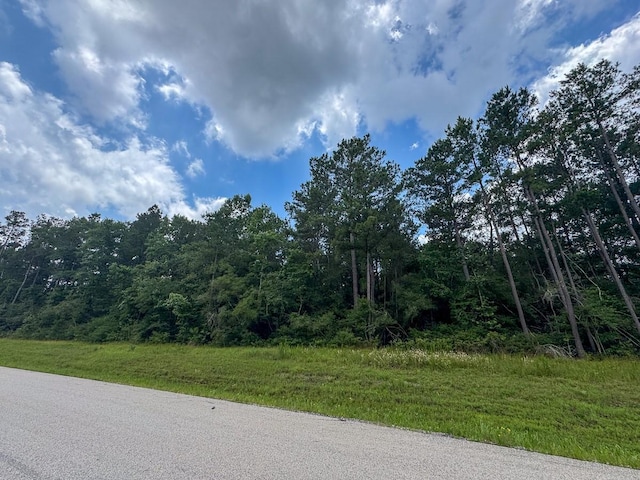 000 Lonestar Rd, Huntsville, TX 77340 - photo 18
