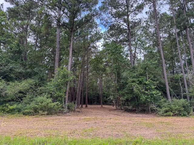 000 Lonestar Rd, Huntsville, TX 77340 - photo 4
