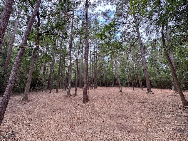 000 Lonestar Rd, Huntsville, TX 77340 - photo 5