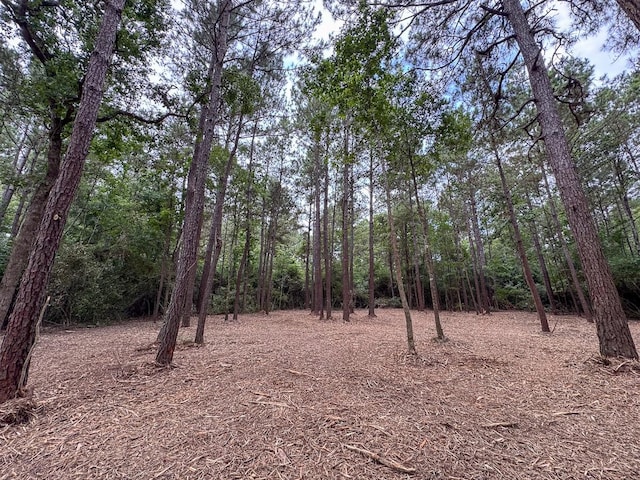 000 Lonestar Rd, Huntsville, TX 77340 - photo 6