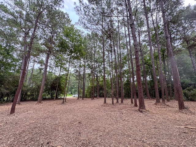 000 Lonestar Rd, Huntsville, TX 77340 - photo 7