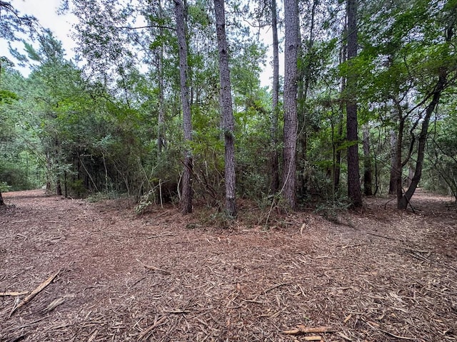 000 Lonestar Rd, Huntsville, TX 77340 - photo 9