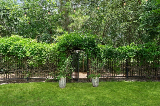 19610 Blushing Meadow Dr, Cypress, TX 77433 - view of yard