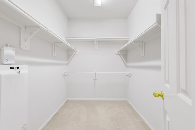 31 S Creekmist Pl, Conroe, TX 77385 - walk in closet with light carpet