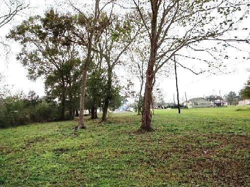 542 N Pine St, Arcola, TX 77583