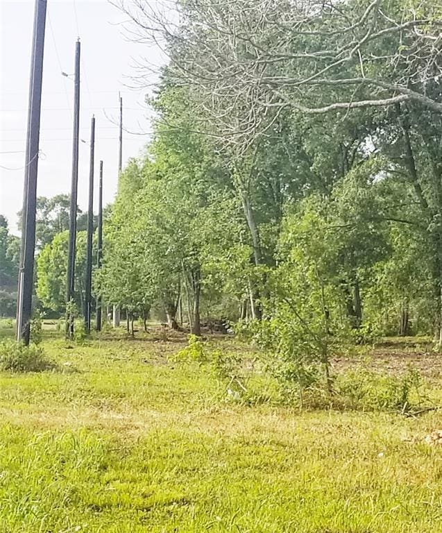 542 N Pine St, Arcola, TX 77583