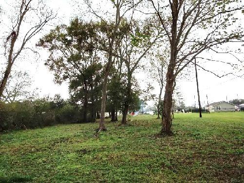542 N Pine St, Arcola, TX 77583