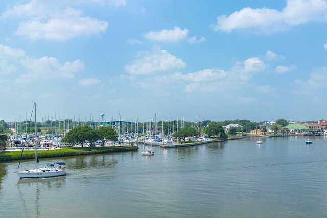 709 Gale St Unit 14, Seabrook, TX 77586 - water view