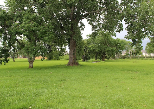 11617 Sunnyside Dr, Mont Belvieu, TX 77523 - photo 4