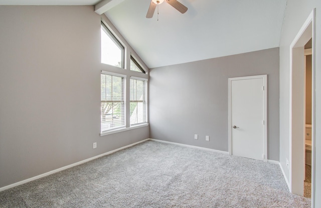 3310 Oak Knoll Ct, Montgomery, TX 77356 - photo 38