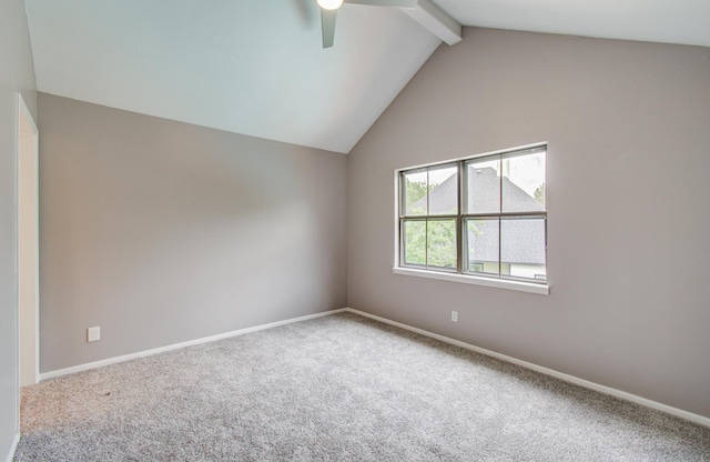 3310 Oak Knoll Ct, Montgomery, TX 77356 - photo 41