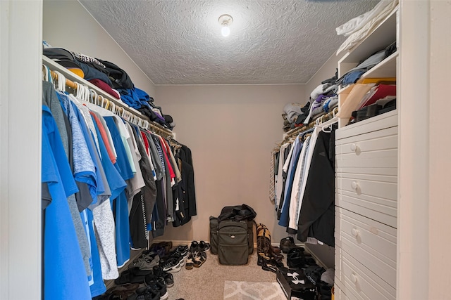 291 Wood Loop St, Houston, TX 77015 - photo 25