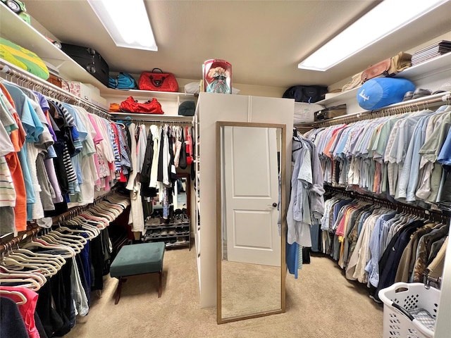 1464 S Bluebonnet Ln, Angleton, TX 77515 - spacious closet with carpet floors