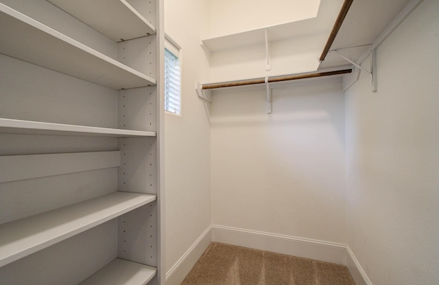 931 Shirkmere Rd, Houston, TX 77008 - walk in closet featuring carpet flooring