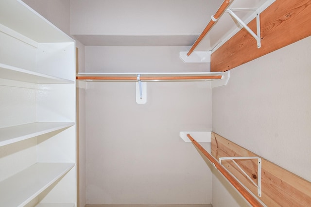 6533 Gray Birch Ln, Dickinson, TX 77539 - view of spacious closet