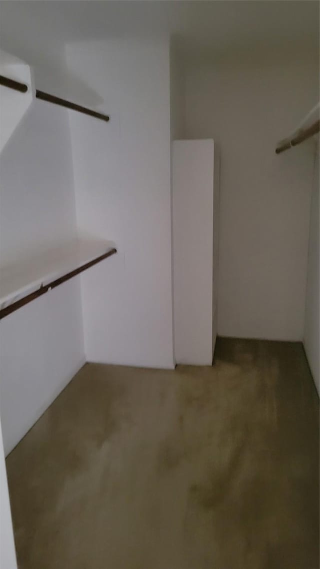 8367 Nairn St, Houston, TX 77074 - walk in closet featuring light colored carpet
