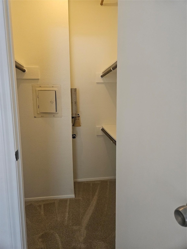 7950 N Stadium Dr Unit 191, Houston, TX 77030 - walk in closet with carpet