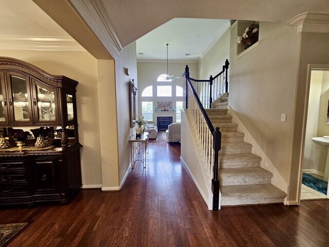 8123 Spring Bluebonnet Dr, Sugar Land, TX 77479 - photo 38